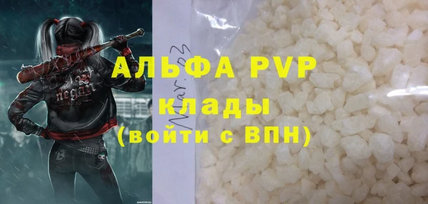 дживик Пересвет