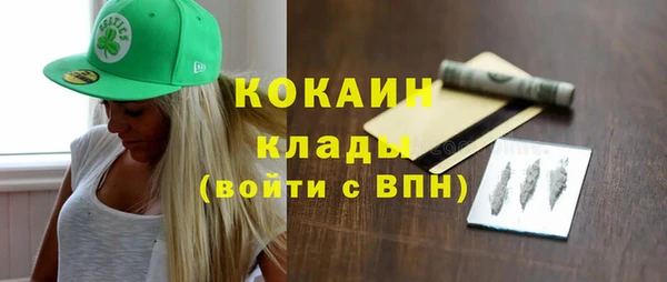 шишки Пестово