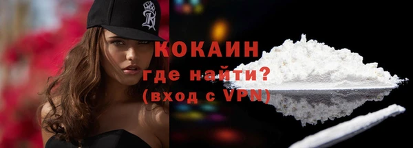дживик Пересвет