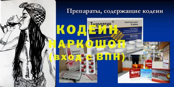 шишки Пестово
