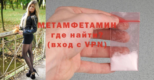 шишки Пестово